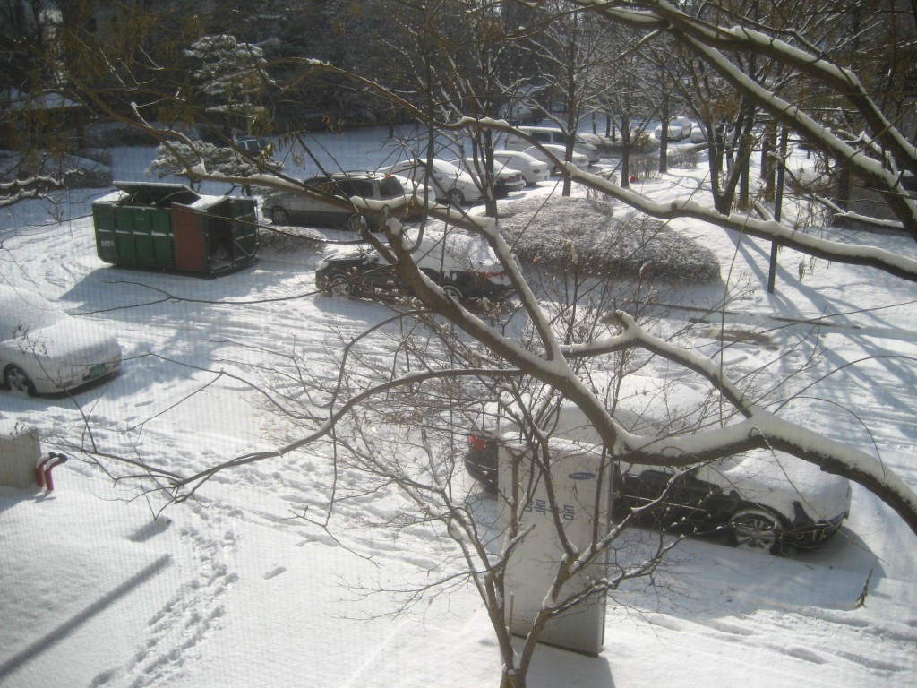 Winter Season – A view from my flat